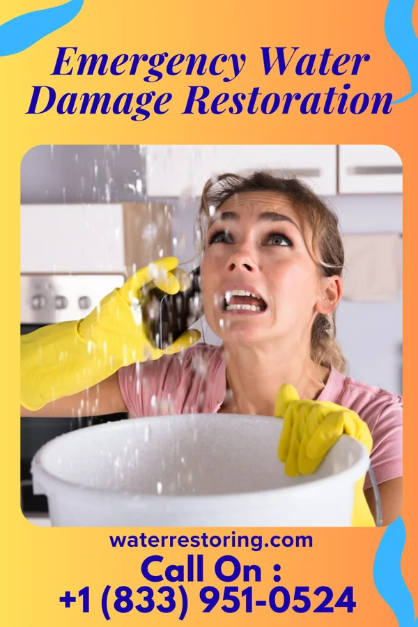 Emergency Water Damage Restoration in Staunton, IN