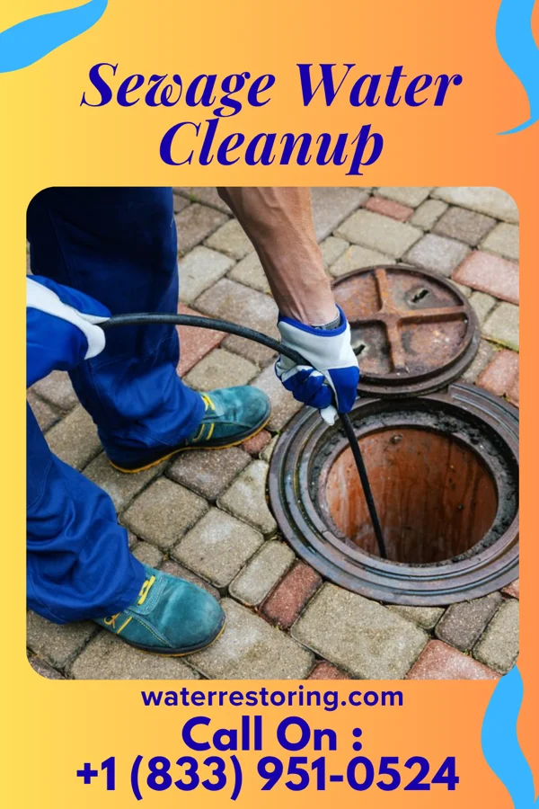 Sewage Water Cleanup in Staunton, IN