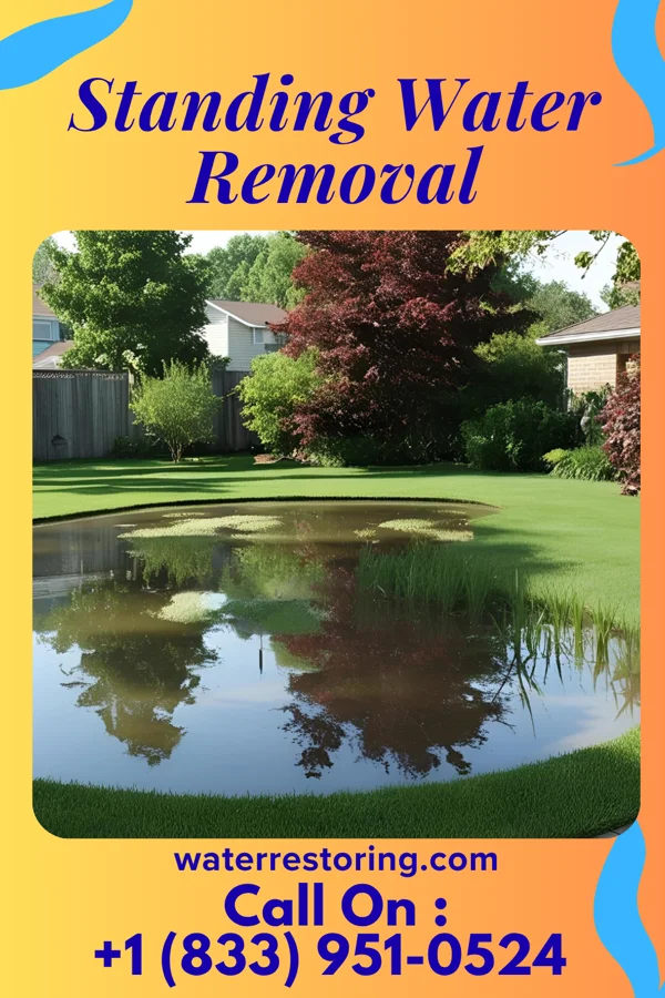 Standing Water Removal in Staunton, IN